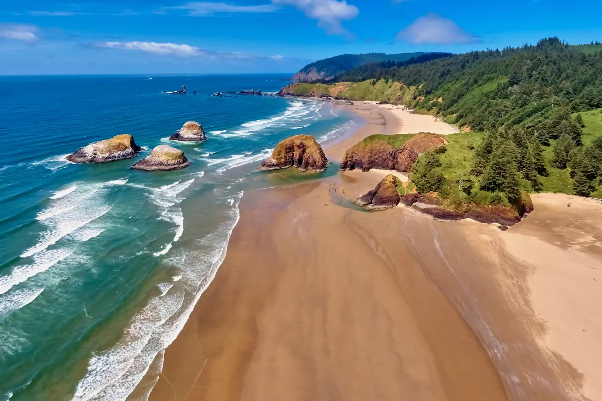 A tranquil beach scene with striking rock formations rising from the sand, waves rolling onto a sandy shore, and a backdrop of dense coastal forest. The landscape invites exploration, beachcombing, and tide pool discovery.
