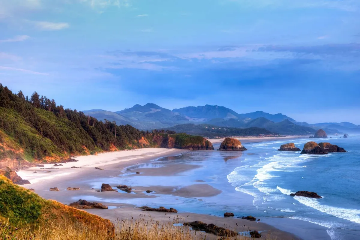 A tranquil beach scene with soft sand, rolling ocean waves, striking rock formations, and lush forest meeting the shoreline. Distant mountains frame the backdrop, while the foreground invites exploration, birdwatching, and tide pooling.
